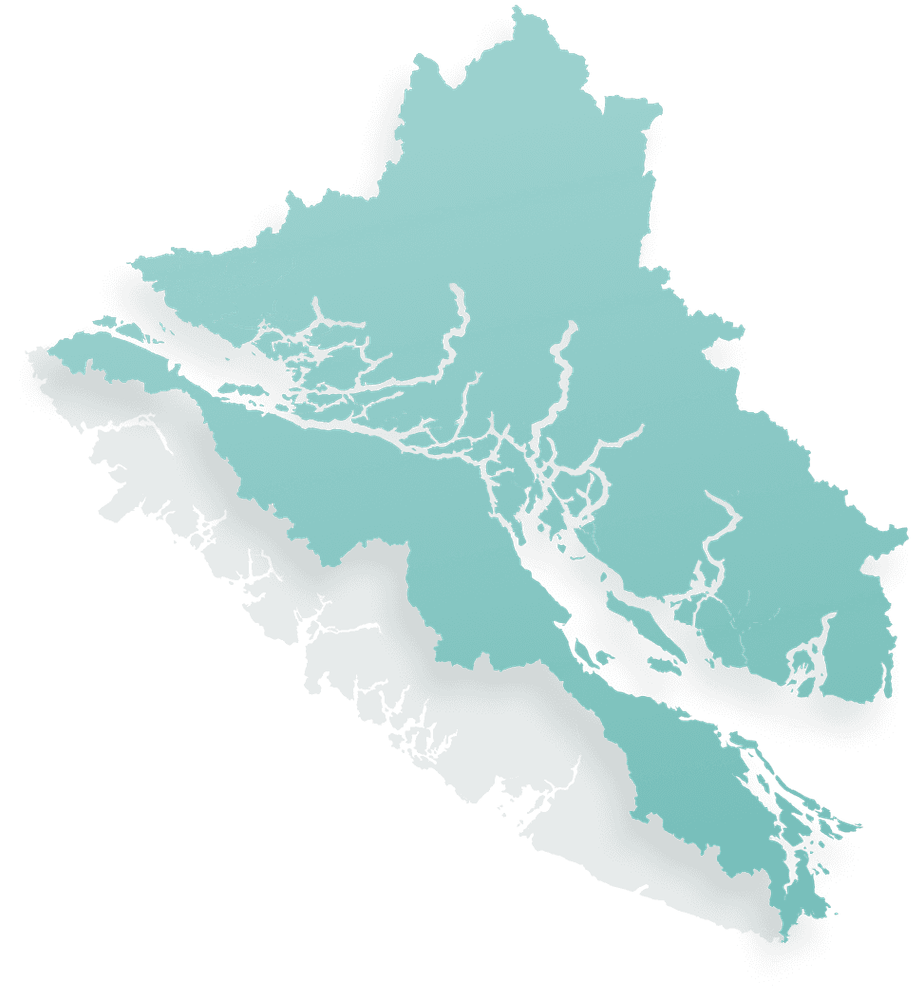Salmon species
