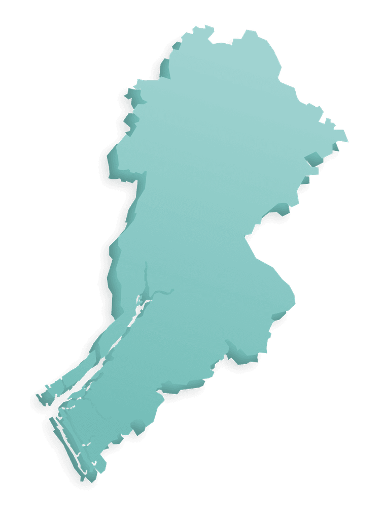 Salmon species