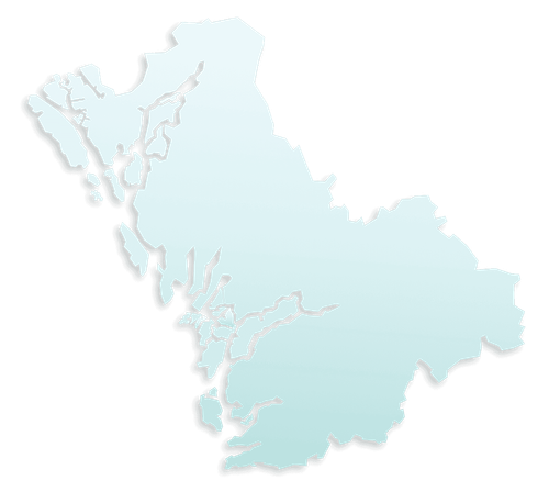 Salmon species