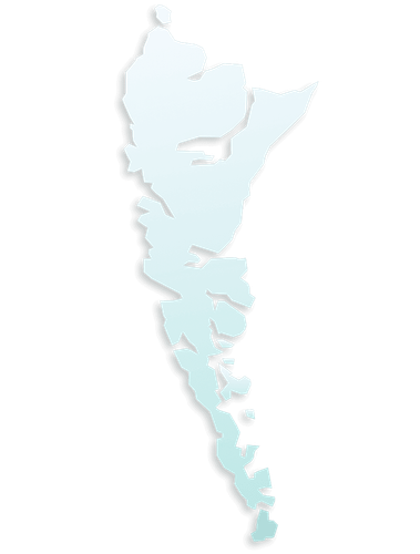 Salmon species
