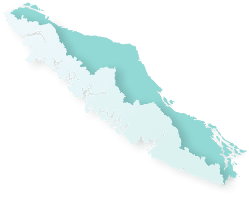 Salmon species