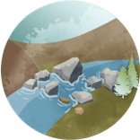 Salmon species